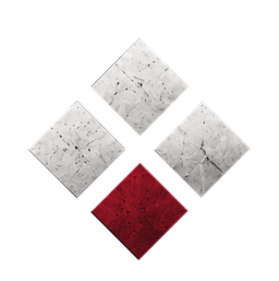 REMNANT